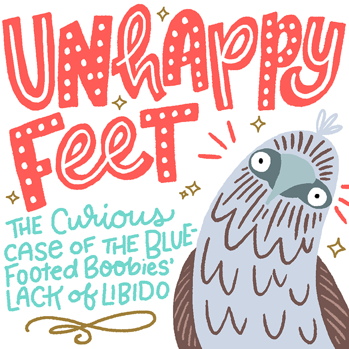 Unhappy Feet Infographic