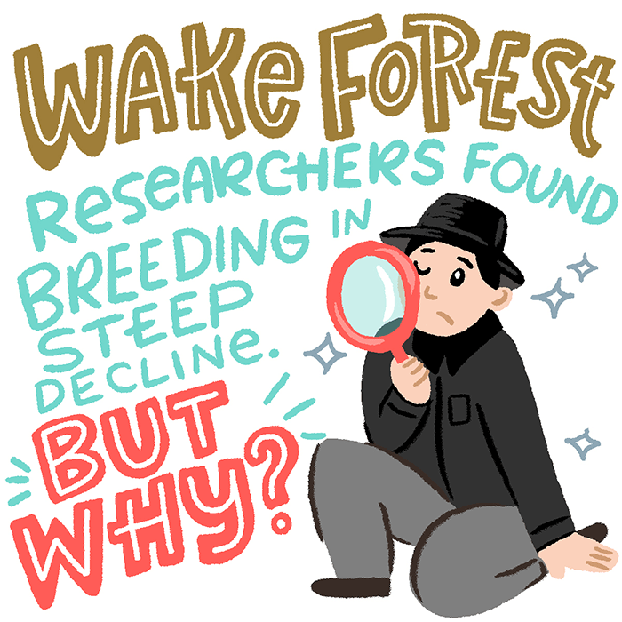 Unhappy Feet Infographic 3