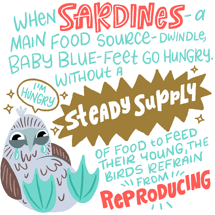 Unhappy Feet Infographic 5