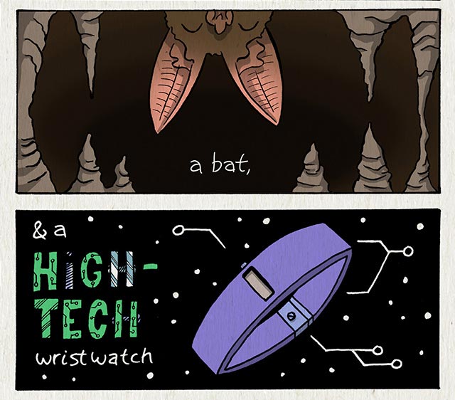 a bat, and a high-tech wristwatch.