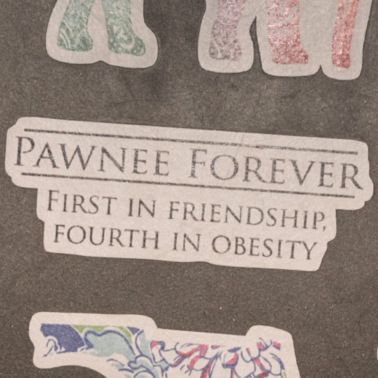 Pawnee Forever sticker