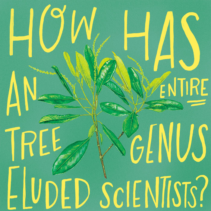 How has an entire tree genus eluded scientists?