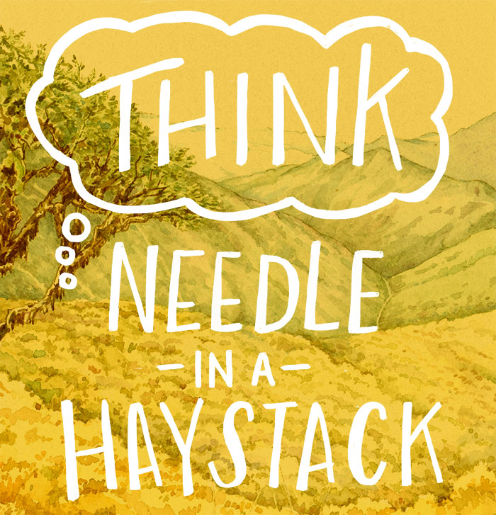 Think needle in a haystack.