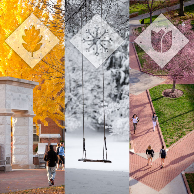 Seasons at Wake
