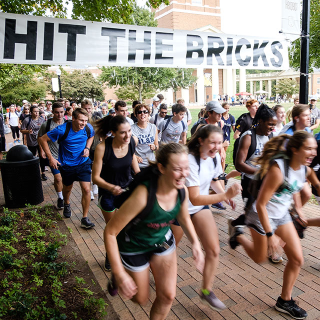 Runners start at the beginning of Hit The Bricks