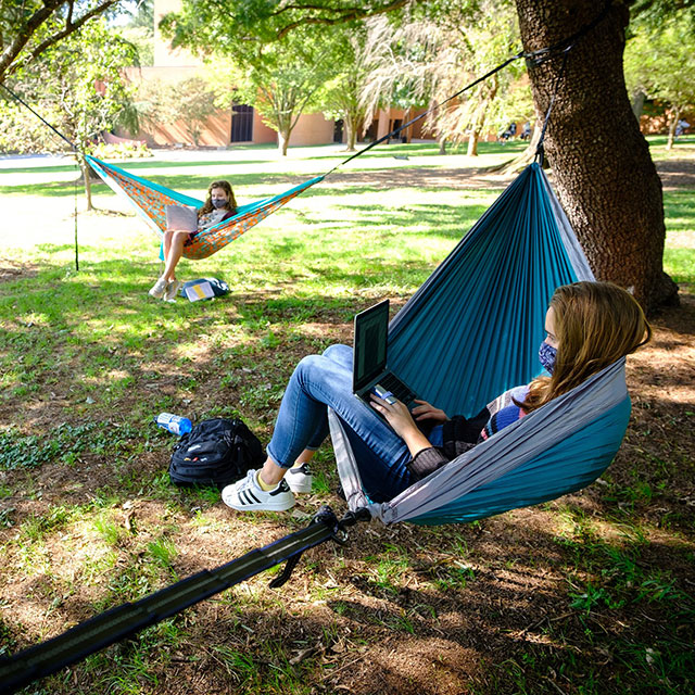 Students studying in hammocks