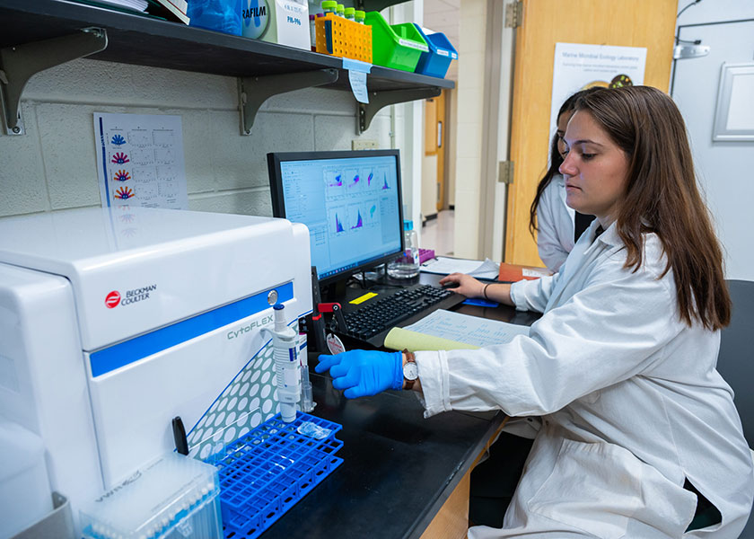 Graduate student Kate Thompson works in the WFU walk-in growth room. Credit: Olutosin Samuel Olusola, WFU biology doctoral student.