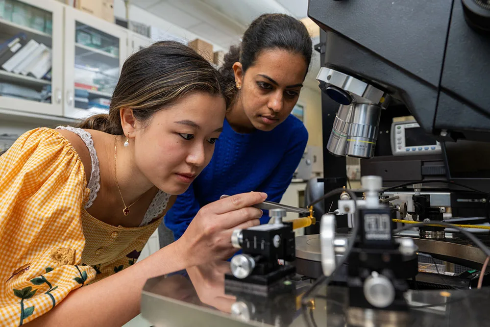 Wake Forest University students working on scientific equipment in a lab.
