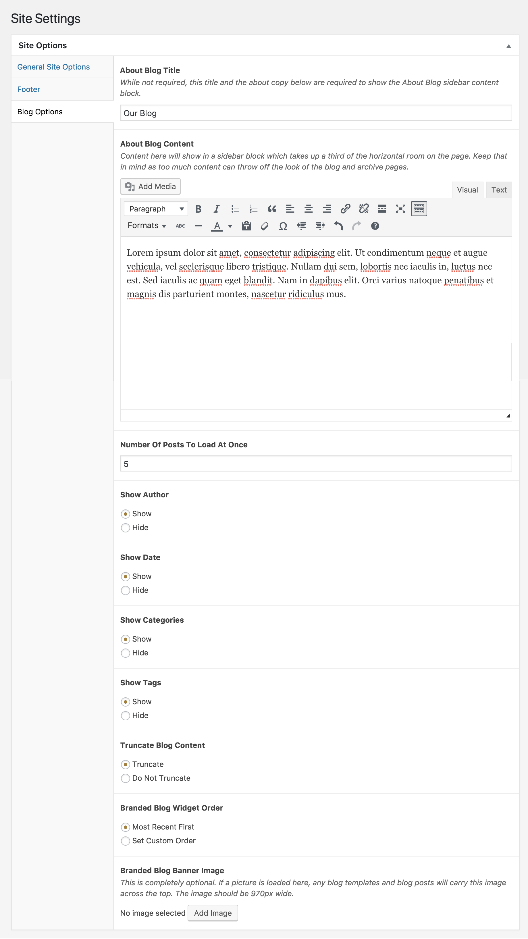 Blog Options