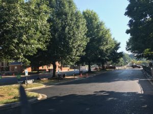 Freshly paved parking lot near Poteat and Kitchin halls