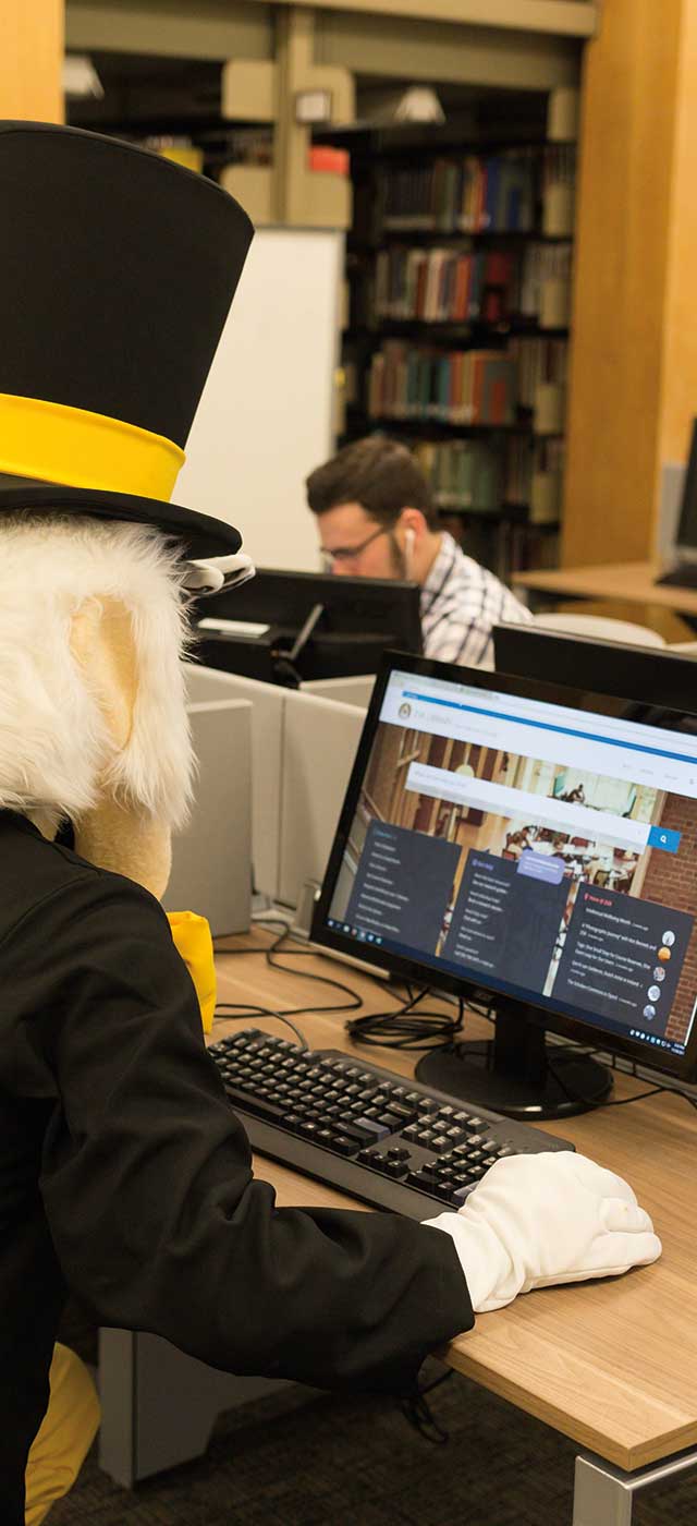 Deacon typing on the computer in ZSR Library.