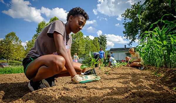 Wake Forest first year students in the SPARC pre-orientation group work in the campus garden