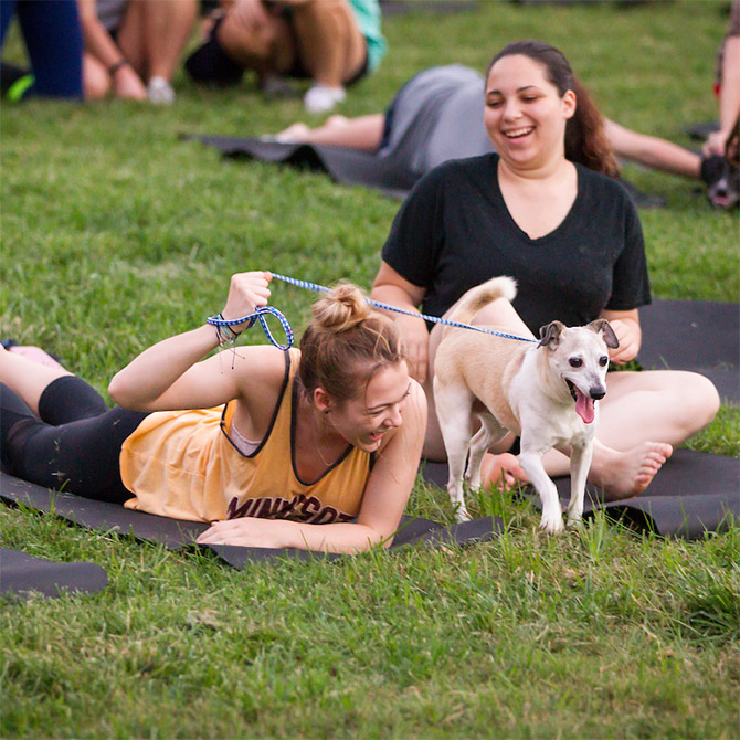 Yoga with dogs