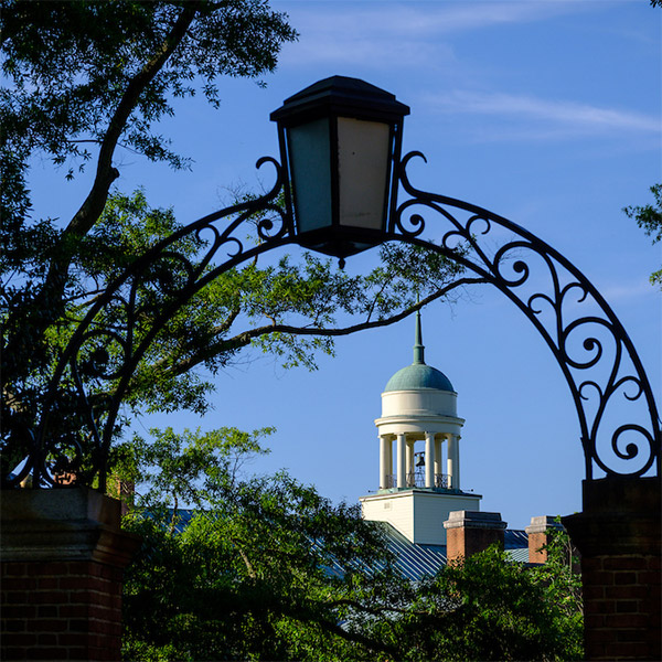 Wake Forest University