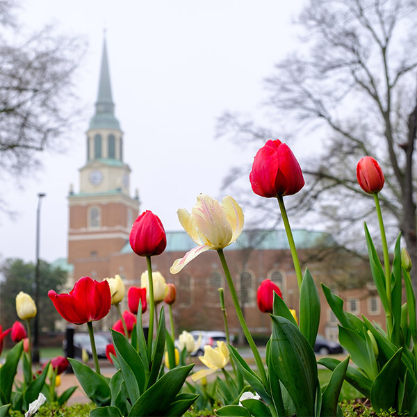 Wait Chapel in the spring