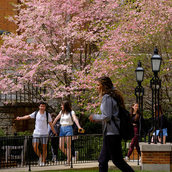 Wake Forest walk to class on a beautiful spring day on Manchester Plaza.