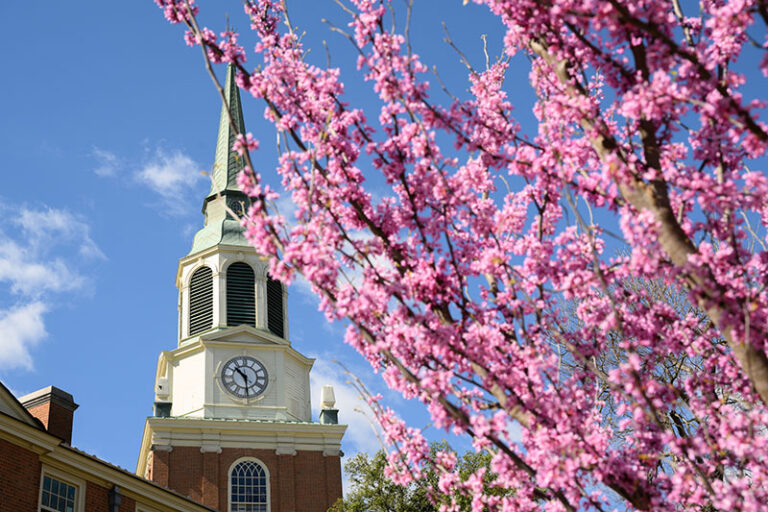 New Undergraduate Students (Class of 2028) | Wake Forest University