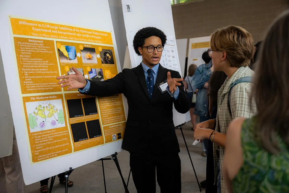 Wake Forest University students participate in URECA Undergraduate Research Day