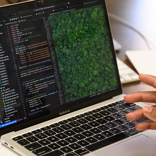 A Wake Forest University URECA scholar works on a project that uses a computer model to detect palm trees.