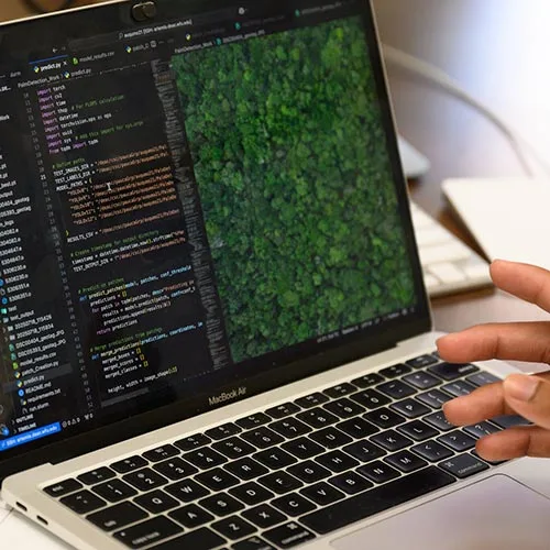 A Wake Forest University URECA scholar works on a project that uses a computer model to detect palm trees.
