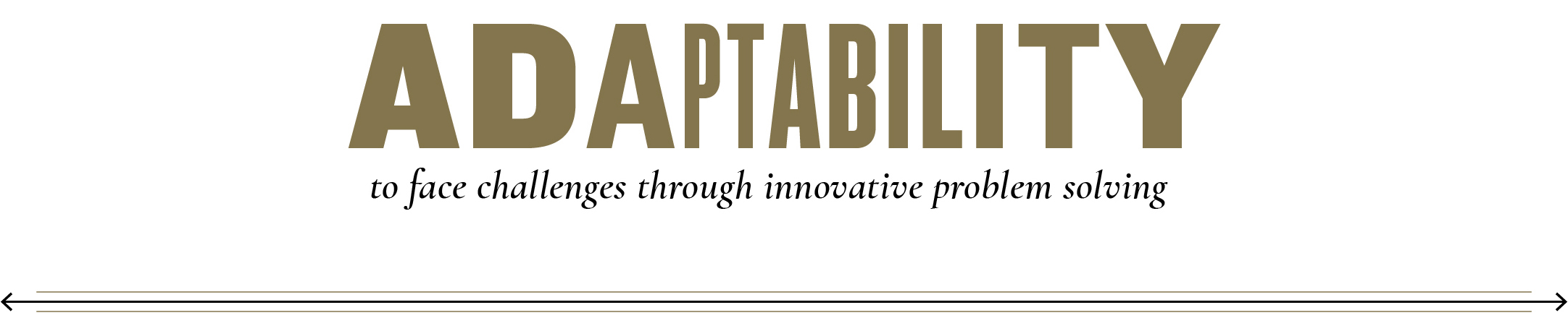 adaptability to face challenges through innovation problem solving