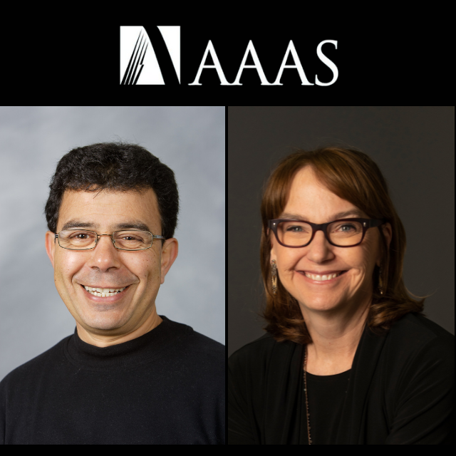 AAAS honors two Wake Forest researchers as lifetime Fellows