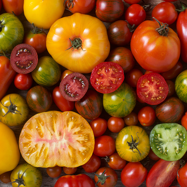 Heat waves are here. Can tomatoes keep up?