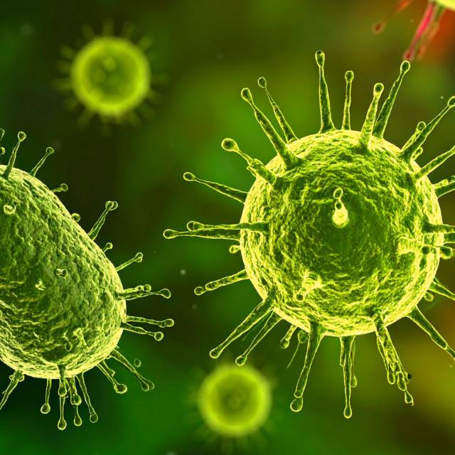 WFIRM Team Discovers Gene Pattern That Could Help Doctors Identify Ebola Faster and More Accurately
