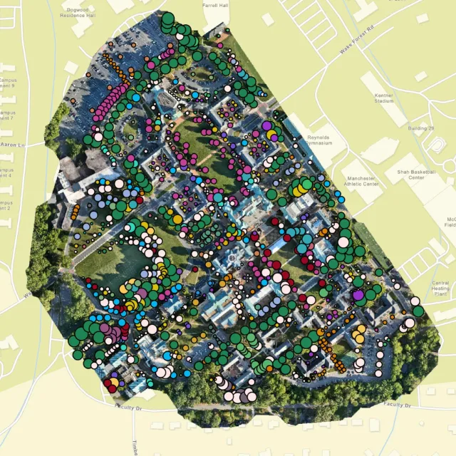 Mapping the Forest