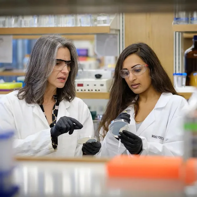 How do human pathogens adapt? New Wake Forest research holds some clues