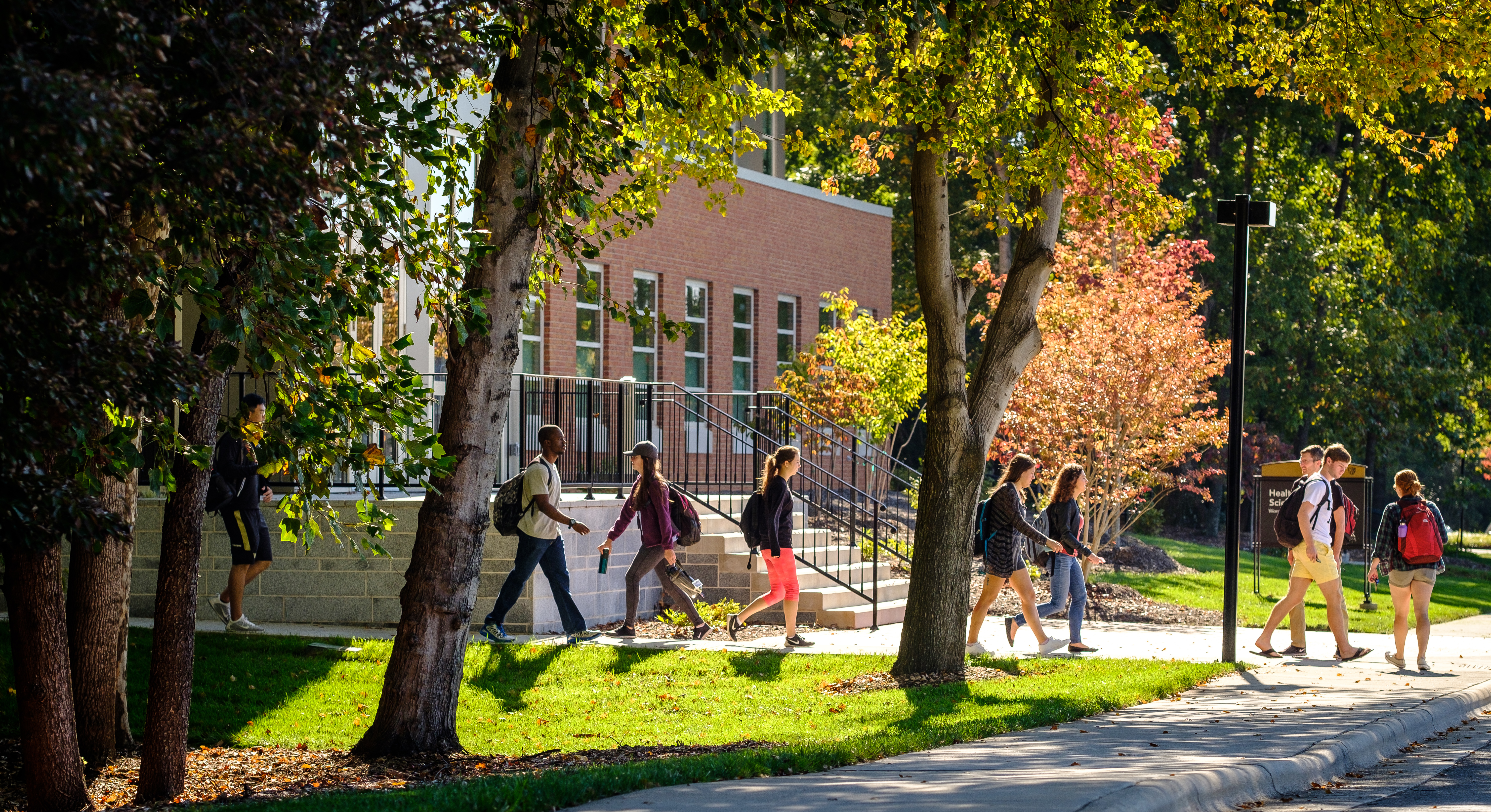 Campus Fall