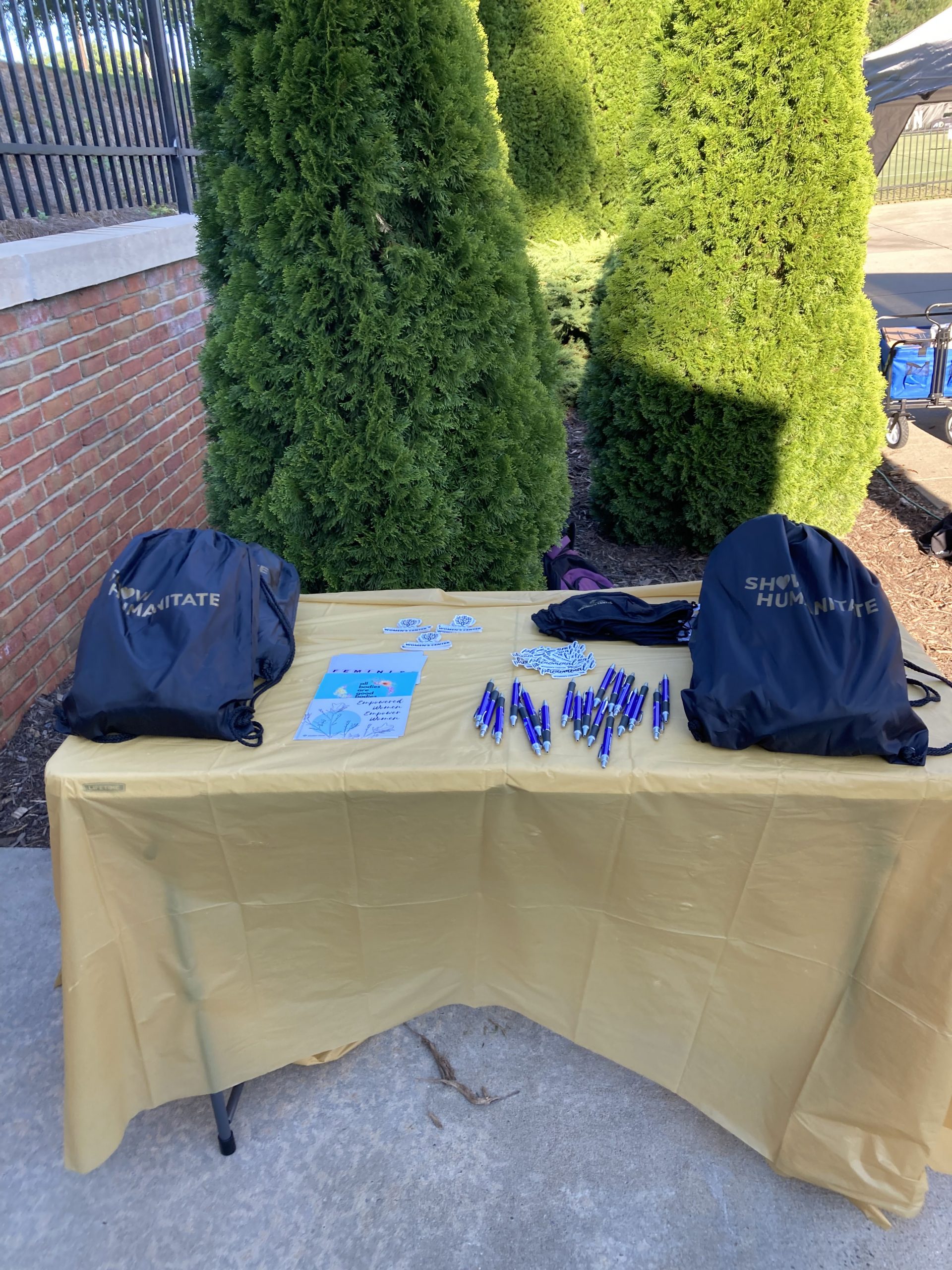 Wake for Women swag table including pens, stickers, bags