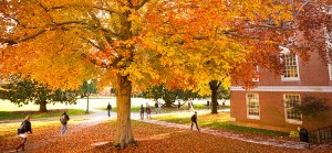 fall-classes