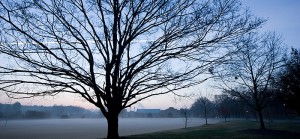 poteat-field-misty-morning