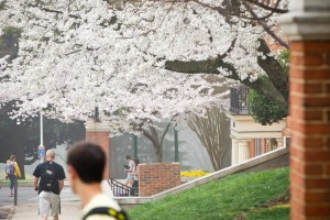 20120319campus8270