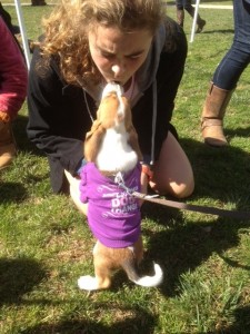 puppies on the quad