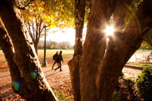 Two students walk in the fall morning light