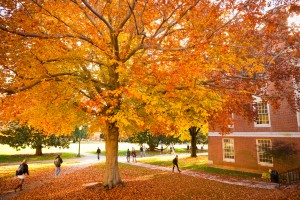 Fall at Wake Forest