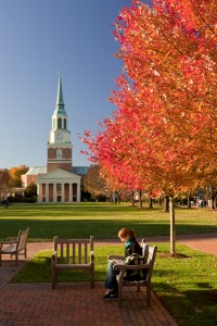 Red maples on the Quad