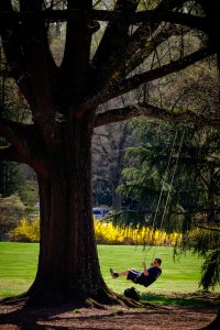 Wake Forest students enjoy a warm spring afternoon on the swings on Davis Field.