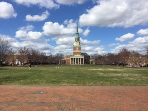 A sunny, happy Quad