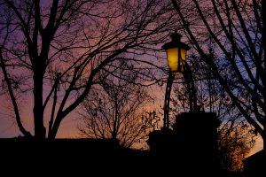 The Quad at sunset, taken by Sam Anich '17.