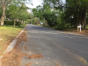 Pollen lines the streets