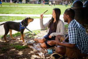 Wake Forest students enjoy a Rent a Puppy event on Manchester Plaza as they take a short study break on Tuesday, March 15, 2016. First year students Jay Thompson and Amy Lerro play with a young hound.
