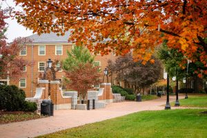 Kitchin Residence Hall on the campus of Wake Forest University, Sunday, November 5, 2017.