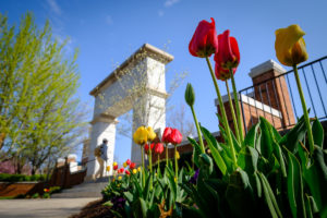 Tulips bloom in front of the stone arch at the entrance to Hearn Plaza Thursday, April 12, 2018.