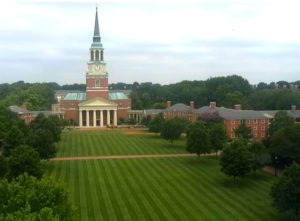 New sod laid on the Quad where the Commencement tent had been