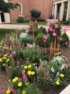 flower bed between Huffman Hall and Wait Chapel with lots of pink flowers
