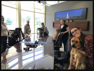 Take Your Dog to Work Day in Alumni Hall