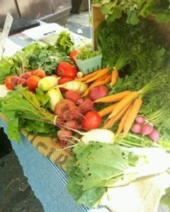 donated food for Campus Kitchen